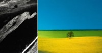 Mario Giacomelli et Franco Fontana - couverture