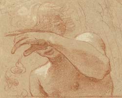 Le dessin à Bologne Le dessin à Bologne