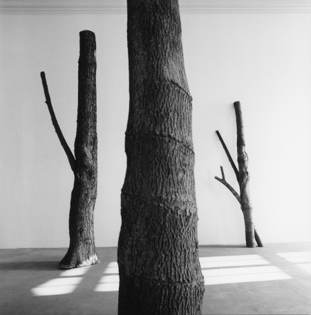 Giuseppe Penone, Alpi marittime Giuseppe Penone, Alpi marittime