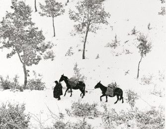 Fulvio Roiter, la campagne en Ombrie Fulvio Roiter, la campagne en Ombrie