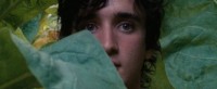 Lazzaro felice - foto scena