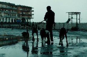 Dogman - Une scène du film Dogman - Une scène du film