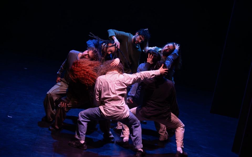 Stream of Consciousness - Compagnie Raw Edge - couverture