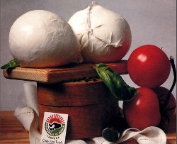 La Mozzarella La Mozzarella