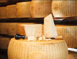 parmigiano reggiano