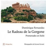 Le Radeau de la Gorgone - couverture