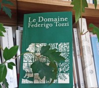 Le Domaine - couverture