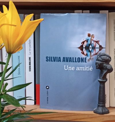 Une amitié de Silvia Avallone - couverture Une amitié de Silvia Avallone - couverture