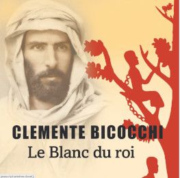 Le blanc du roi - couverture