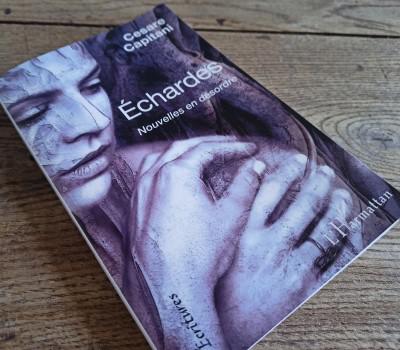 Échardes. Nouvelles en désordre - couverture Échardes. Nouvelles en désordre - couverture