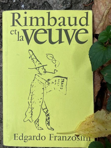 Edgardo Franzosini, Rimbaud et la Veuve - couverture