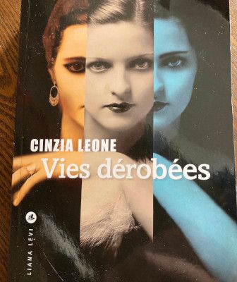 Vies dérobées - couverture Vies dérobées - couverture