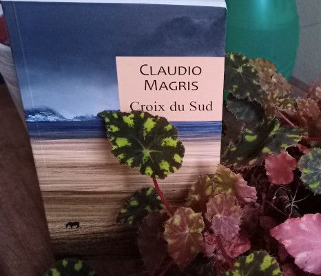 Claudio Magris, Croix du sud - couverture Claudio Magris, Croix du sud - couverture