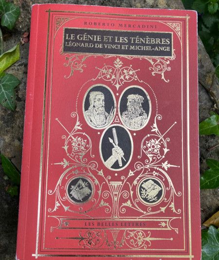 Le Génie et les ténèbres de Roberto Mercadini - couverture