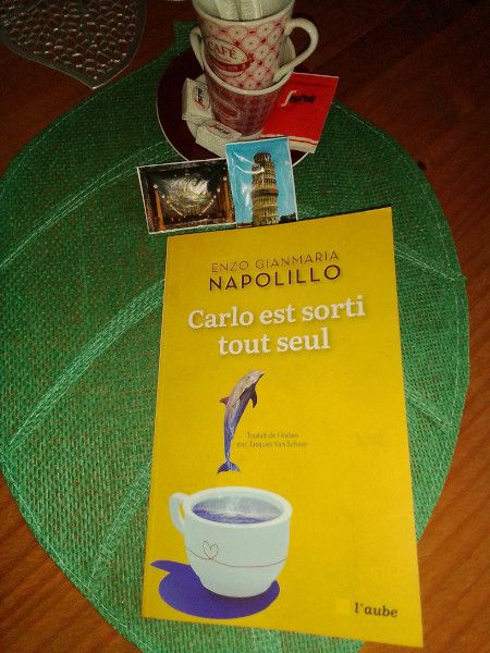 Carlo est sorti tout seul de Enzo Gianmaria Napolillo - couverture Carlo est sorti tout seul de Enzo Gianmaria Napolillo - couverture