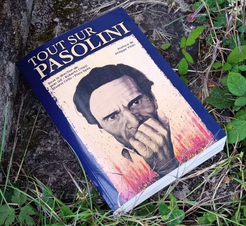 Tout sur Pasolini - couverture Tout sur Pasolini - couverture