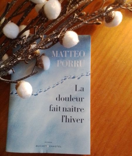 La douleur fait naître l’hiver de Matteo Porru - couverture