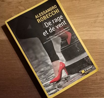 De rage et de vent - couverture De rage et de vent - couverture