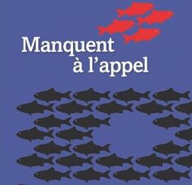 Manquent à l'appel - couverture Manquent à l'appel - couverture
