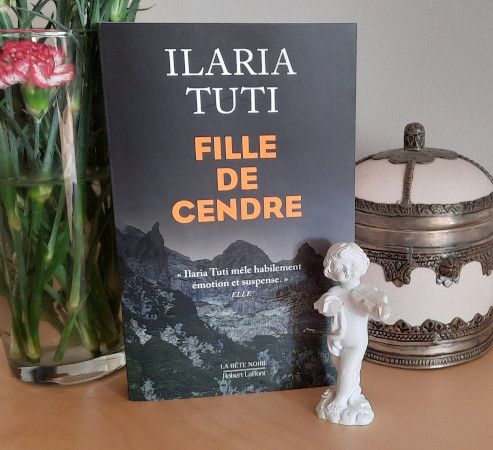 Fille de cendre - couverture Fille de cendre - couverture