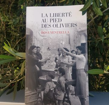 La liberté au pied des oliviers - couverture