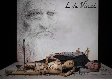 Léonard de Vinci, naissance d'un génie- affiche Léonard de Vinci, naissance d'un génie - couverture