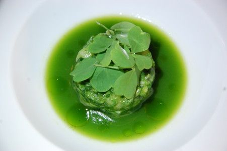 tartare de sériole façon verte