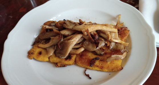 Polenta et pleurotes sautés