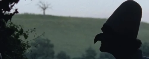 Bella e perduta, un film de Pietro Marcello