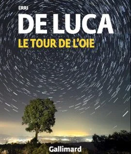 Le Tour de l'oie, nouveau roman d'Erri De Luca