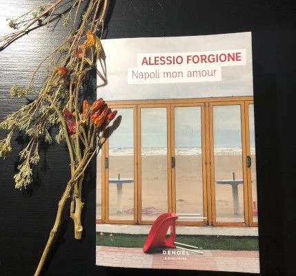 Napoli mon amour, roman d'Alessio Forgione