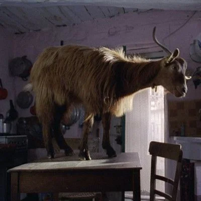 L'Italie aux Journées cinématographiques
