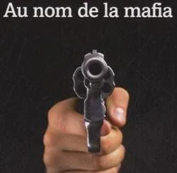 Fabrizio Gatti, Au nom de la mafia