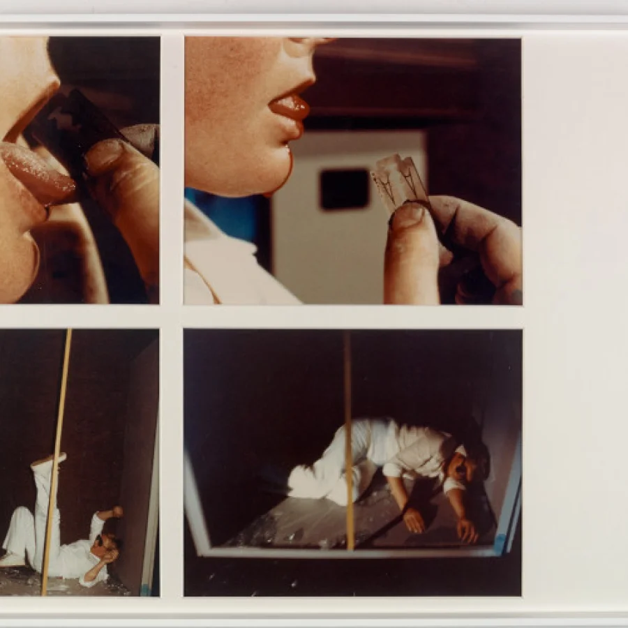 Gina Pane, A hot afternoon, exposition aux Beaux Arts de Paris