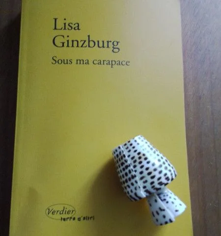 Sous ma carapace de Lisa Ginzburg. Une sœur peut en cacher une autre
