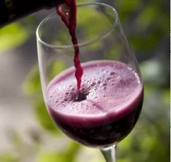 Le Lambrusco : une surprise… pétillante !