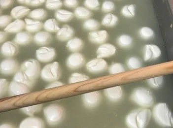 Nanina, production de mozzarella de bufflonne à Paris