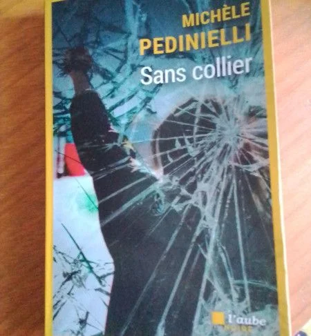 Sans collier de Michèle Pedinielli. La ménopause n'est pas un naufrage