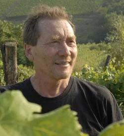 La révolution par les vignes